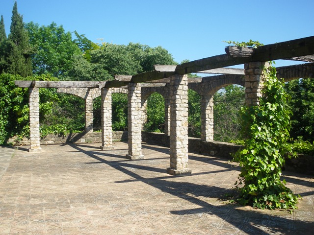 [Foto de planta, jardin, jardineria]