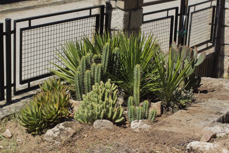 [Foto de planta, jardin, jardineria]