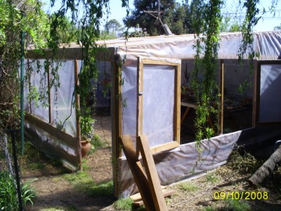 [Foto de planta, jardin, jardineria]