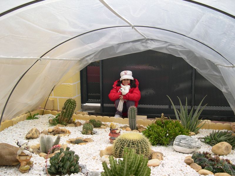 [Foto de planta, jardin, jardineria]