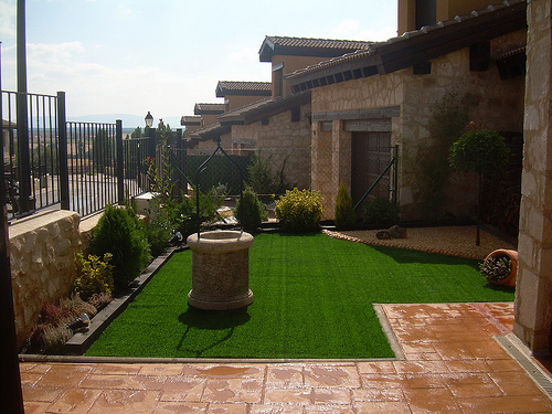 [Foto de planta, jardin, jardineria]