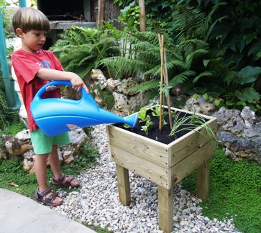 [Foto de planta, jardin, jardineria]