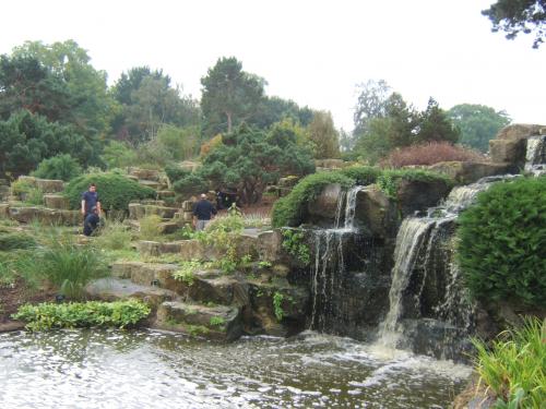 [Foto de planta, jardin, jardineria]