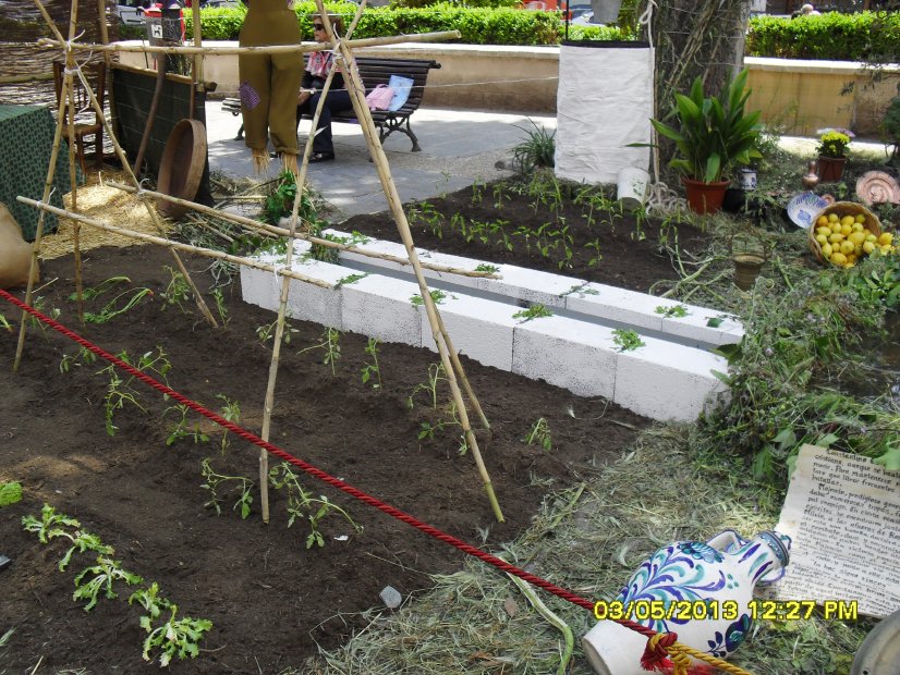 [Foto de planta, jardin, jardineria]