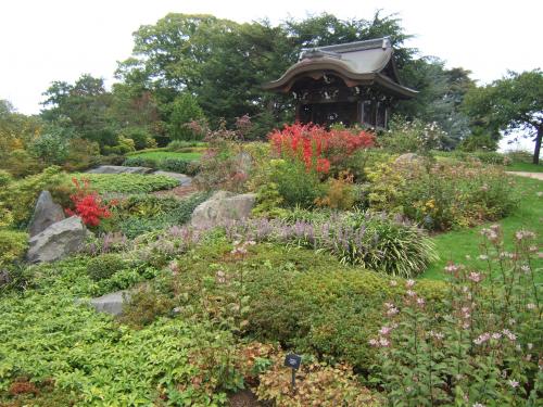 [Foto de planta, jardin, jardineria]