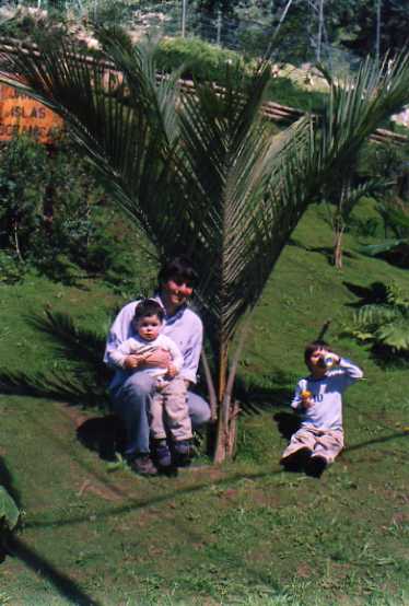 [Foto de planta, jardin, jardineria]